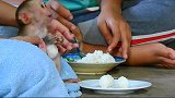 小猴儿太可爱了，坐在主人怀里吃饭团，这样乖巧的小猴子真少