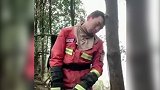 心疼！佛山山火持续作战2天 消防员累得靠树睡着了
