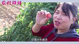 胖妹家发生啥喜事，给老公煎牛排吃，来盘素菜沙拉，两口子吃嗨啦