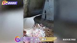“倒奶”选秀又遭批！暂停录制却将选手召回加班，网友暴怒：有病