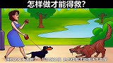 脑力测试：遛狗的女士怎样做才能得救？