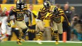 NFL-1516赛季-常规赛-第8周-匹兹堡钢人10:16辛辛那提猛虎-精华