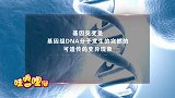 印度一只山羊长相酷似人脸 令人惊恐