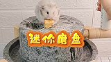 我的仓鼠有迷你磨盘了