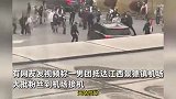 女生扑向艺人车辆被撞倒后爬起接着追，机场：她太疯狂了，拉不走