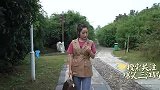 三江锅：姑娘遭遇劫匪，二货见义勇为却成助纣为虐