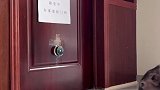 猪的性格原来这么要强！