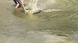 农村大爷短短五分钟，竟然捕获30斤大鲶鱼
