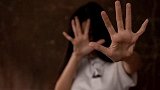 陕西一男子趁妻子外出打工 多次侵犯8岁亲生女儿获刑7年半