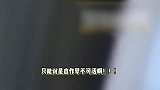 董事长和明星女友内幕交易被刑拘，本想“割韭菜”却亏损500万，女方大家不陌生