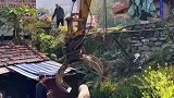 看00后抓年猪，有种黄金矿工的既视感
