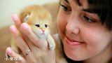 被主人捧在手心的小奶猫：我是谁，我妈在哪