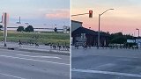加拿大：超大一群鹅过马路 队伍太长堵塞交通