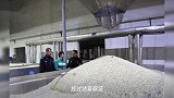 广东37亿元特大坚果走私案告破!部分坚果竟来自疫区……