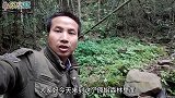 深山沟里发现一块奇石，奇特的花纹和斑斓的色彩，难得遇到的石头