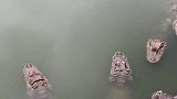 开会时间，严禁打扰