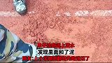男子往跑道上泼水，发现里面和了泥