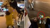 澳大利亚：一名醉酒女子被骑警撞倒在地扔抓着酒不放手