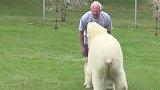 老人捡到一只北极熊，16年养到700斤，现在它却这样对待老人