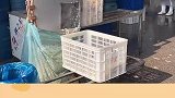 原来藕是这么切的