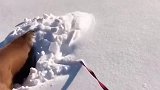 南方的狗子第一次见到雪的搞笑反应！
