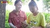 爆笑喜剧：姐妹俩偷玉米，二叔为捉贼竟化身稻草人，结局太搞笑了
