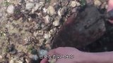 小伙初次体验荒岛求生，却搞出了最美味的海蛎煎