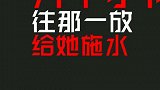 放开我姑娘！！！
