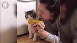 怎么和主人一块吃玉米啊，这么硬，你能咬下来吗