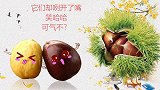 秋分至，板栗笑哈哈，扫街窜巷的你能过它这一关吗？