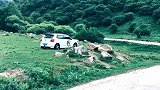 我心里你最漂亮 大众Polo