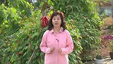 大妈再婚要五千彩礼，怕丈夫要回去，钱交给姐妹保存
