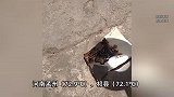 热到烫伤！北方开启“烧烤模式”，多省市地面温度已超70℃