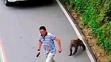猴哥又在调皮了，又在拦路打劫
