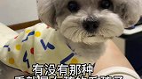 衣服不是花边就是粉色