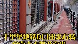 春来啦！花开啦！春色满园
