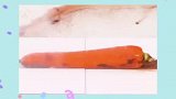 你不会还没学会这个新妙招吧，看完视频的你学会了吗