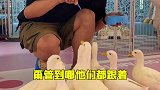 在北京做一次鸭王有多爽？ 旅游 有范儿柯尔鸭公社