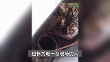 未满12岁男孩杀害4岁女童案撤案，受害者父母离开家乡：不甘心，太心寒了