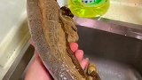 冻了三个月的肉，这还能吃吗