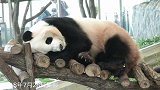 躺着睡了一会，醒来就去找东西吃