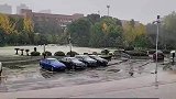 多地飘起鹅毛大雪，南方狗子雪地里撒欢快乐溢出了屏幕