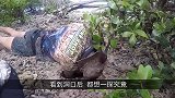 自家后院出现一个洞，男子以为是狗狗干的，结果挖出几年前宠物！