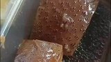 这红烧肉上全是毛，做菜的师傅心不会痛吗