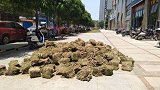 广西南宁一开发商地砖上种草皮 被业主质疑“突击”搞绿化
