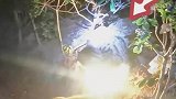流浪猫的地灯被占了，它只好去旁边取暖