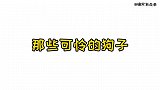 爆笑时刻，狗子 -我是不是人不知道，但你是真的狗！