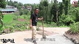 土豆烧排骨端上桌，四娃举杯和六娃对饮，英雄杯满十满载整起走