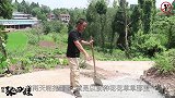 土豆烧排骨端上桌，四娃举杯和六娃对饮，英雄杯满十满载整起走