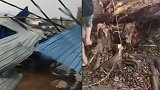 12级大风袭击云南普洱：广告牌被吹飞，树木从根部被折断